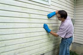 Best Siding Replacement  in Westwood, NJ